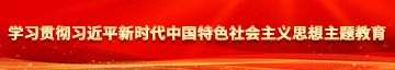 美女逼逼夜夜com学习贯彻习近平新时代中国特色社会主义思想主题教育