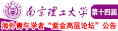 反差JK骚鸡南京理工大学第十四届海外青年学者紫金论坛诚邀海内外英才！